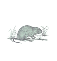 Untitled design - 2024-04-20T044910